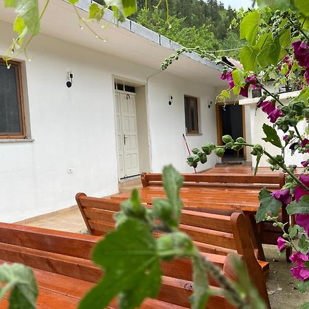Hotel Thethi Mountain Exterior foto